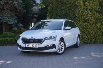 1.0TSI 110KM,DSG, Climatronic,Tempomat,Kamera,SalonPL,CarPlay,BDB,FV